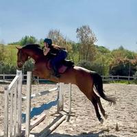 Mezza fida a Porta di Roma