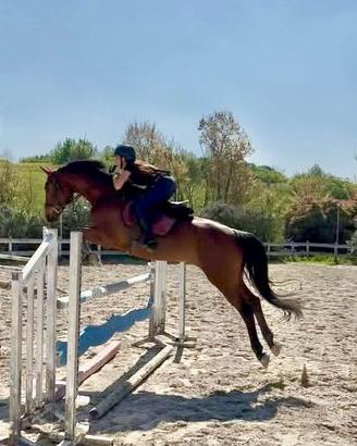 Mezza fida a Porta di Roma