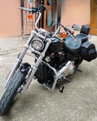 Harley Davidson softail