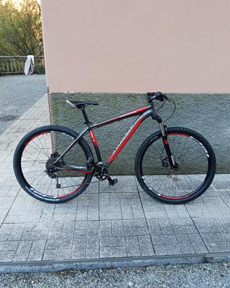 specialized rockhopper