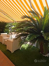 Splendido trilocale con giardino e garage