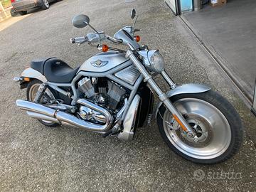 Harley davidson V rod centenario