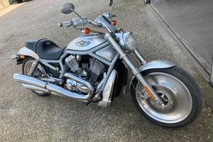 Harley davidson V rod centenario