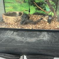 Recinti per serpenti