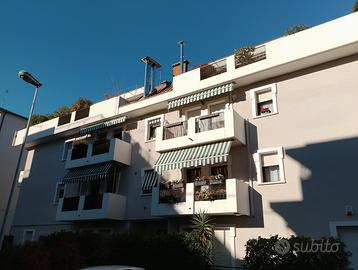 Mestre centralissimo