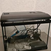 Acquario
