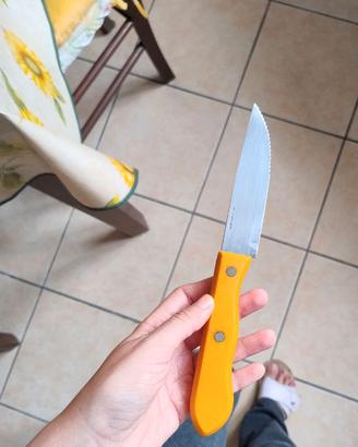 Coltello da cucina lama in acciaio inox