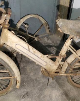 bici mosquito