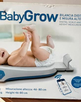 Bilancia digitale