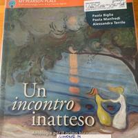 Un incontro inatteso A