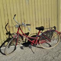 Bicicletta da donna