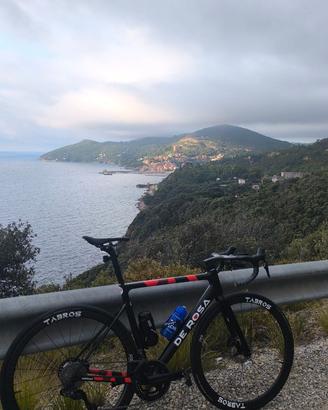 De rosa Merak
