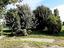 Immagine 17