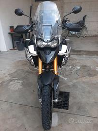 Triumph tiger 900 rally pro