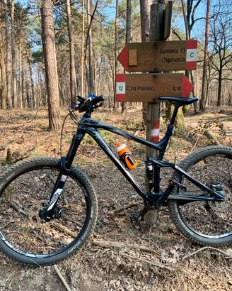 Ktm lycan 273