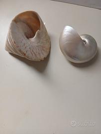 Oggettistica d'arredo.