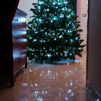 Albero di natale 2.30