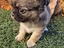 Immagine 5