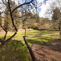 Terreno agricolo