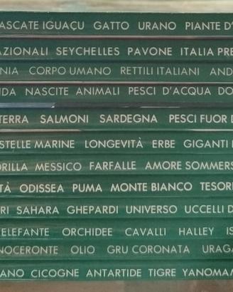NATURA oggi 1986 /12 mesi