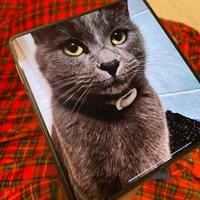 HONOR MAGIC V3 12/512GB