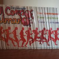 Esplorando il corpo umano