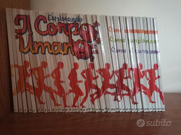 Esplorando il corpo umano