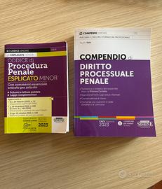 Procedura penale - Compendio e Codice ed. Simone