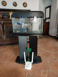 Acquario 