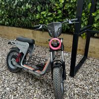 Bici elettrica