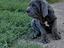 Immagine 3