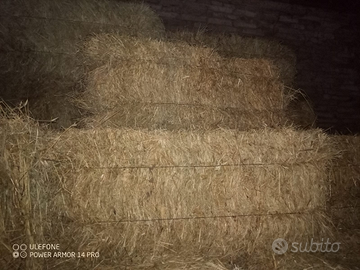 Bollette paglia erba medica e fieno di qualità