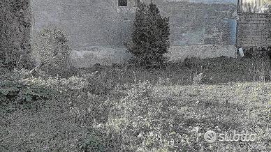 Casa Terrana con Terreno Edificabile Gravina