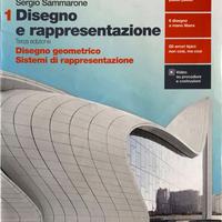 Disegno e rappresentazione 1 - ISBN 9788808453495