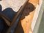 Immagine 4
