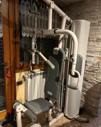 Palestra domyos