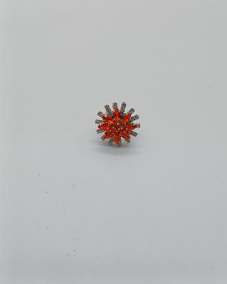 anello 