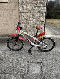 Biciclette mountain bike di varie misure