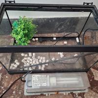 acquario 
