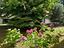 Immagine 26