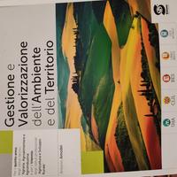 libro-Gestione e valorizzazione Ambiente territor