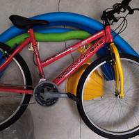 BICICLETTA MOUNTAIN BIKE