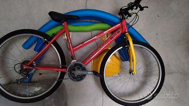 BICICLETTA MOUNTAIN BIKE
