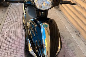 Ciervo CityAll 250B-X scooter elettrico