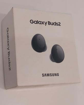 Galaxy Buds2