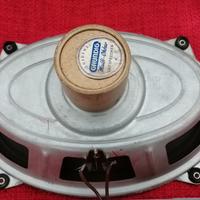 GRUNDIG - Woofer in Alnico - 24x16 cm