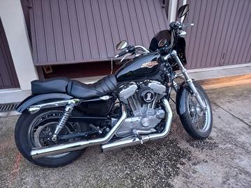 Harley Davidson 883  sportster 
