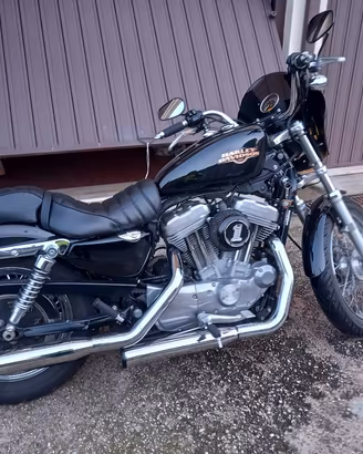 Harley Davidson 883  sportster 