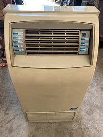 Climatizzatore portatile