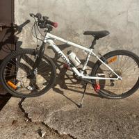 BtWin Rockraider 300 All terrain